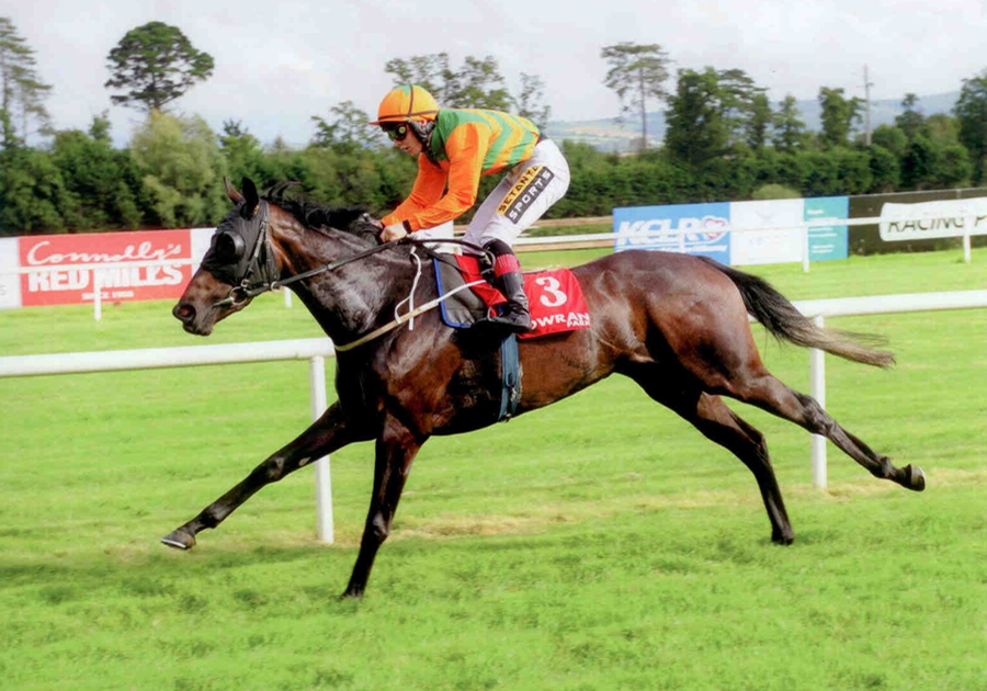 Crafted Mastery Gowran Park Wed 3rd Sept 2014